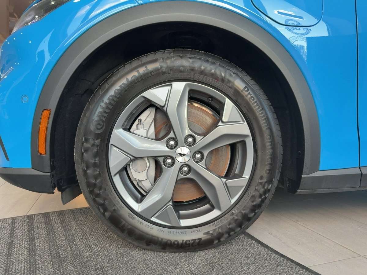 Fahrzeugbild eines Ford Mustang Mach-E