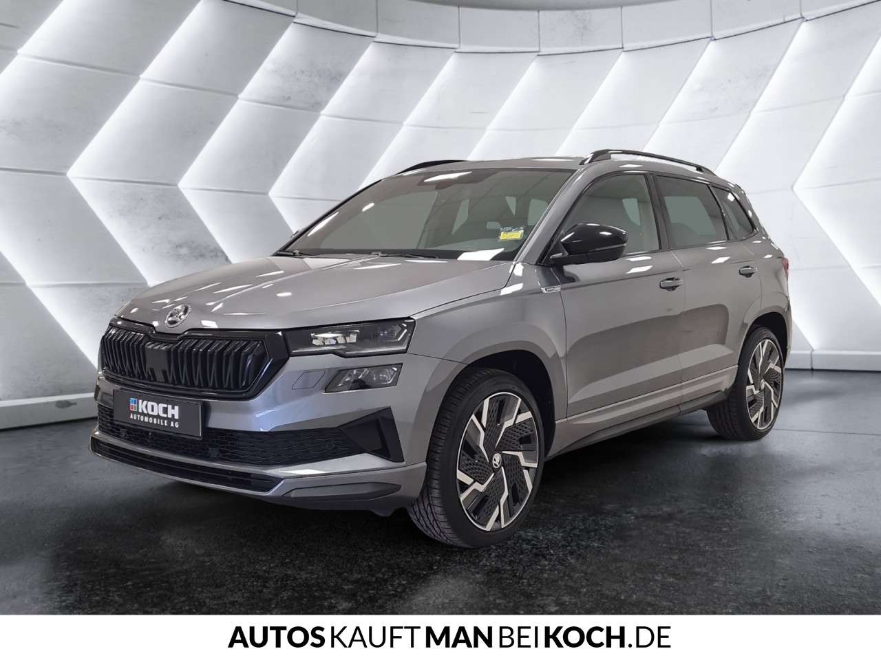Fahrzeugbild eines Skoda Karoq