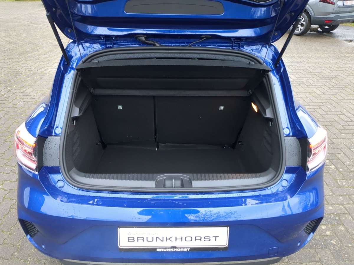 Fahrzeugbild eines Renault Clio