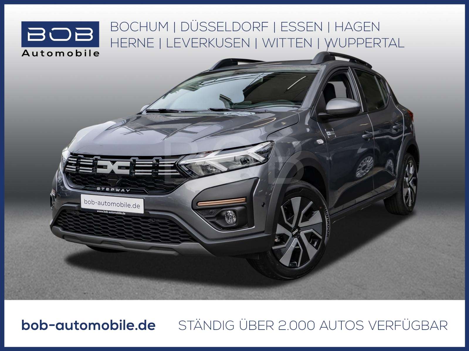 Fahrzeugbild eines Dacia Sandero