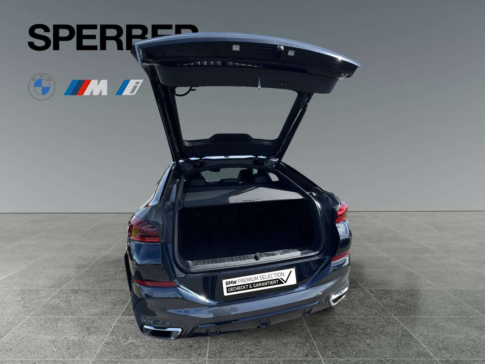 Fahrzeugbild eines BMW X6