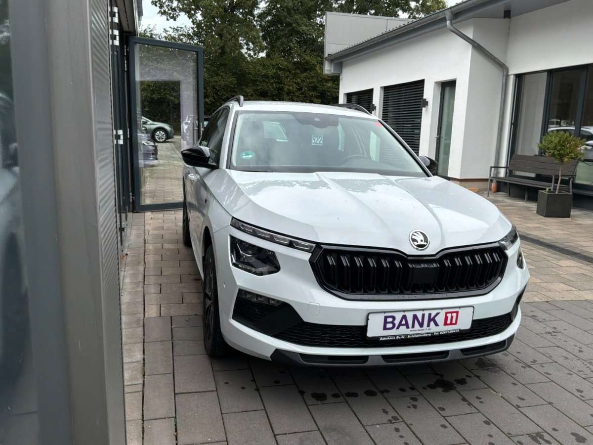 Fahrzeugbild eines Skoda Kamiq