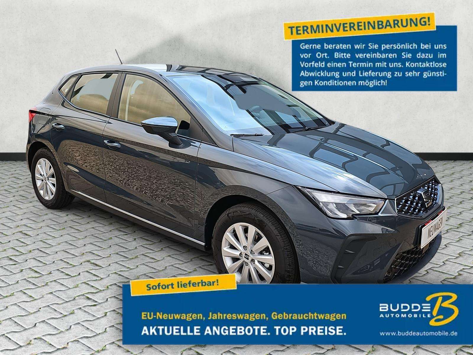 Fahrzeugbild eines SEAT Ibiza