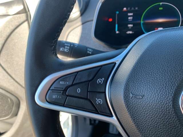 Fahrzeugbild eines Renault ZOE