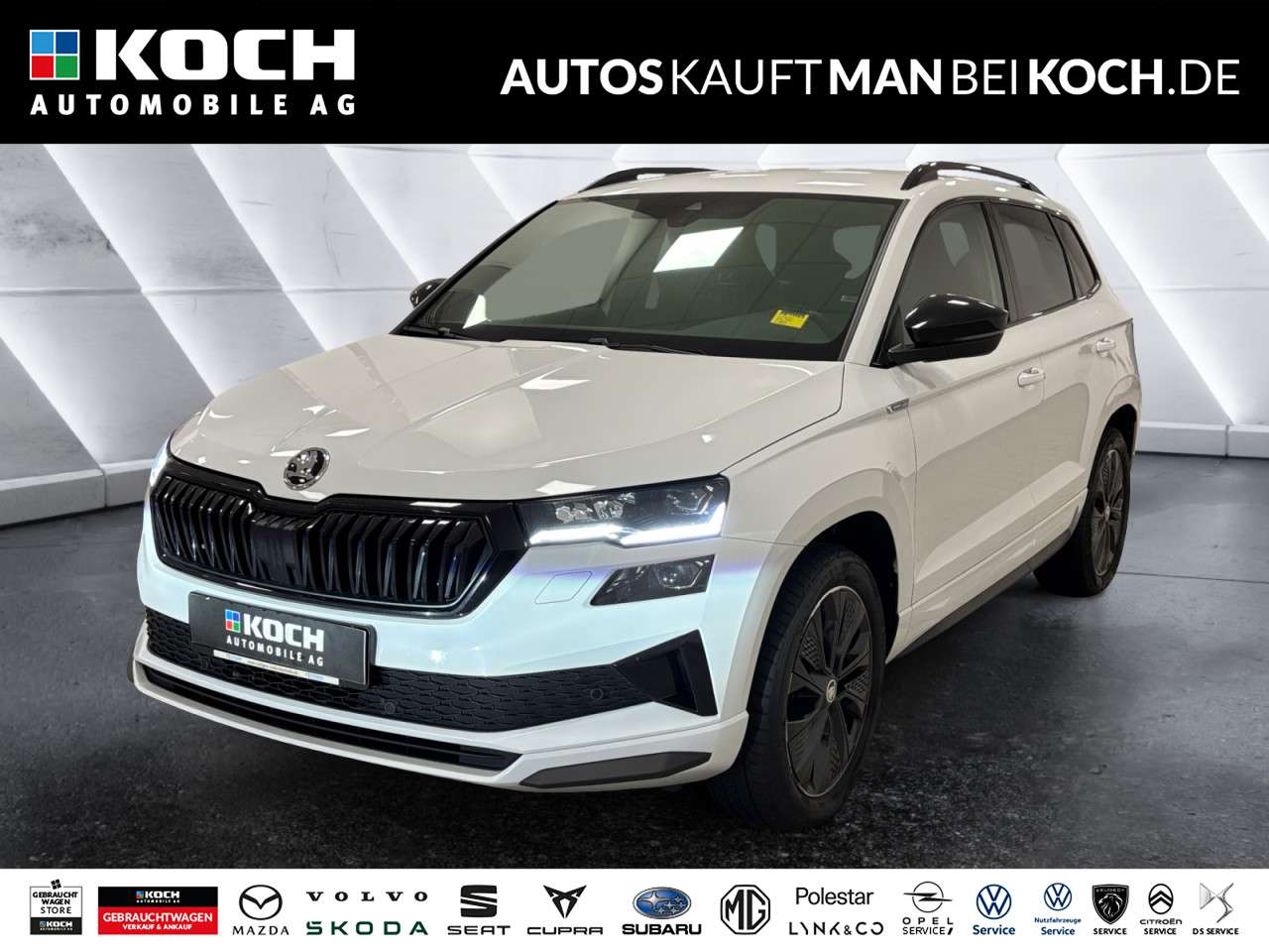 Fahrzeugbild eines Skoda Karoq