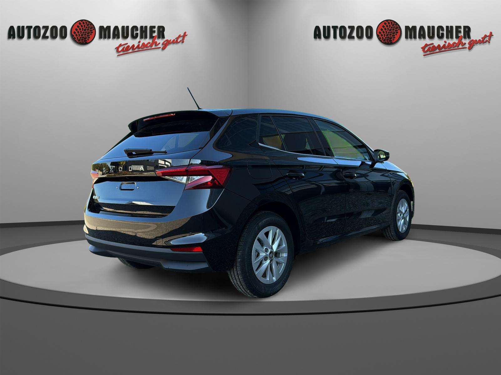 Fahrzeugbild eines Skoda Fabia