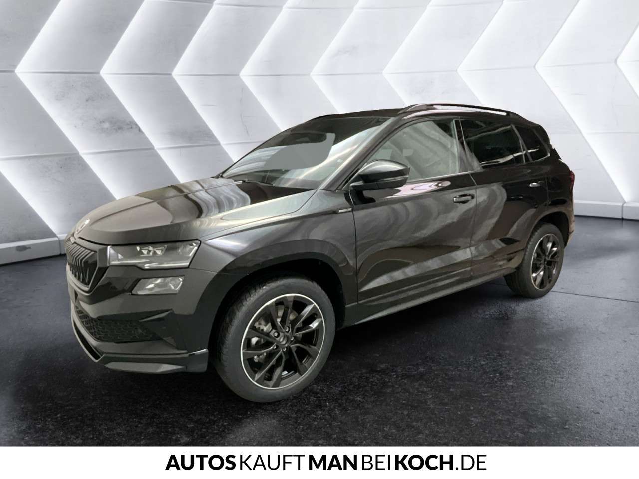 Fahrzeugbild eines Skoda Karoq