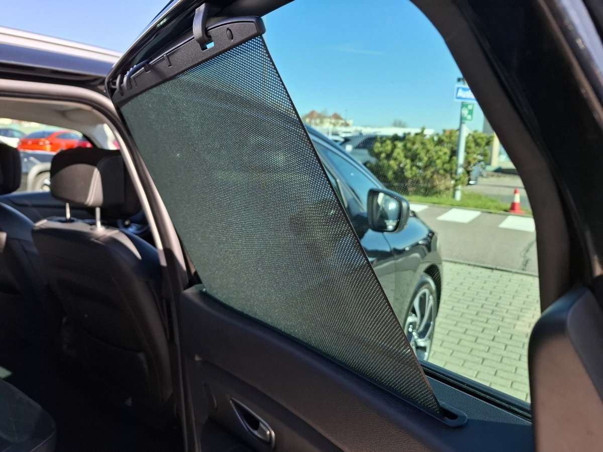 Fahrzeugbild eines Renault Grand Scénic