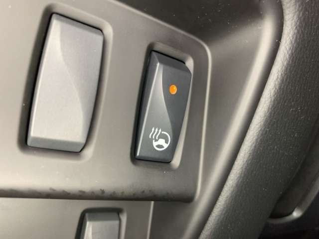 Fahrzeugbild eines Renault Koleos