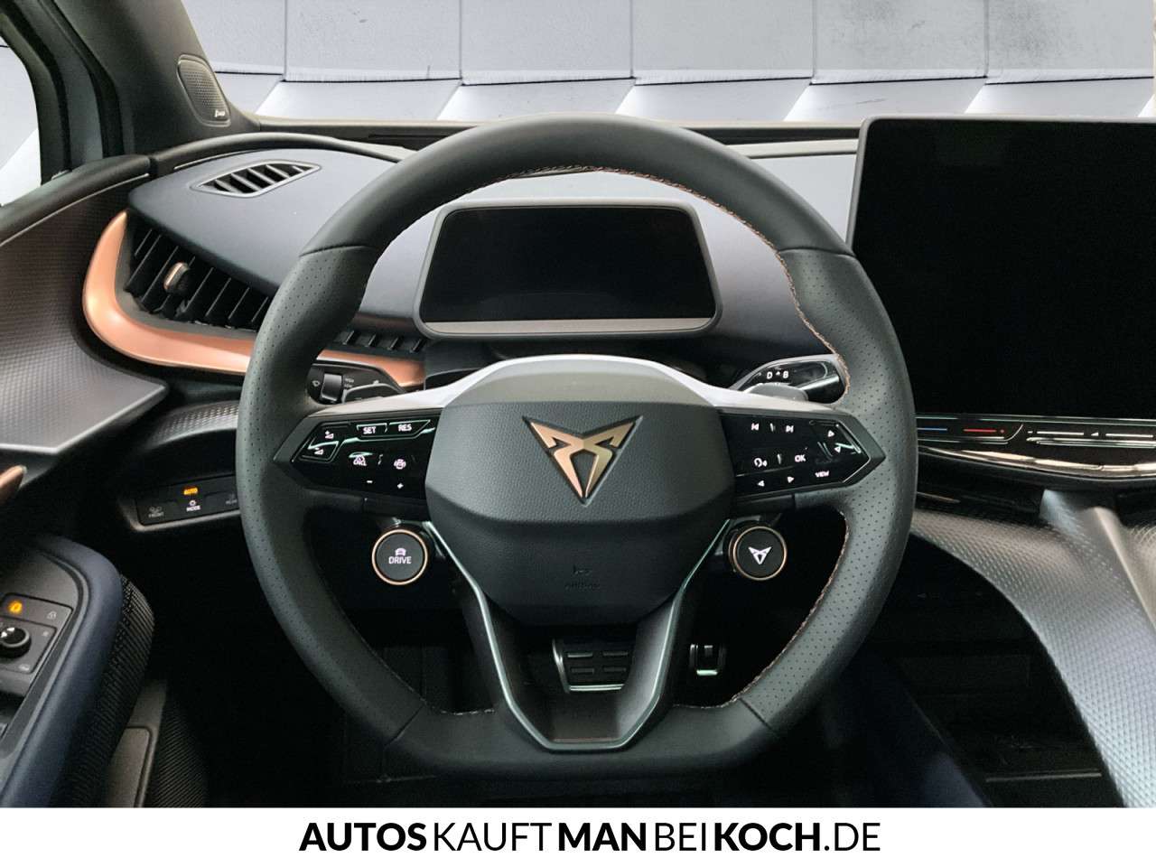 Fahrzeugbild eines CUPRA Tavascan