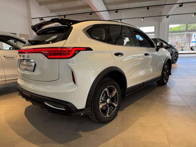 Fahrzeugbild eines GWM Haval Jolion Pro