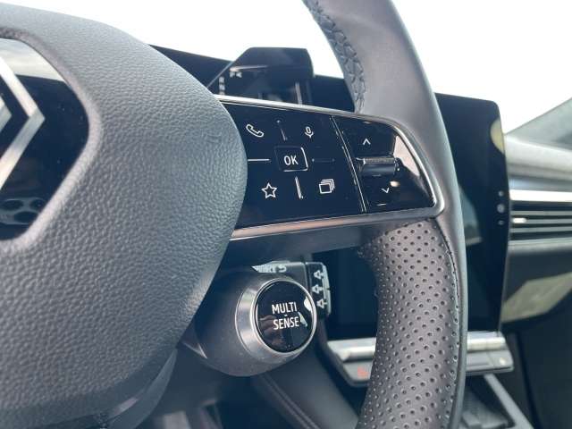 Fahrzeugbild eines Renault Scenic E-TECH