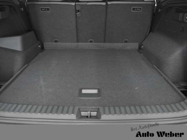 Fahrzeugbild eines Volkswagen Tayron