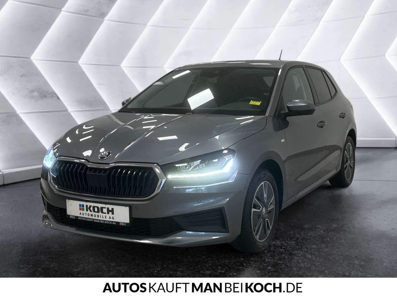 Fahrzeugbild eines Skoda Fabia