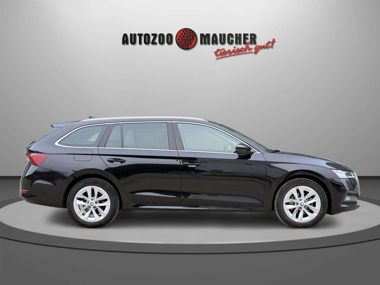 Fahrzeugbild eines Skoda Octavia