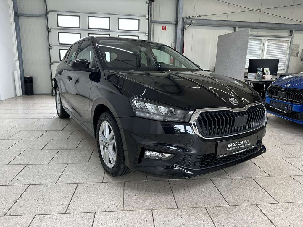 Fahrzeugbild eines Skoda Fabia