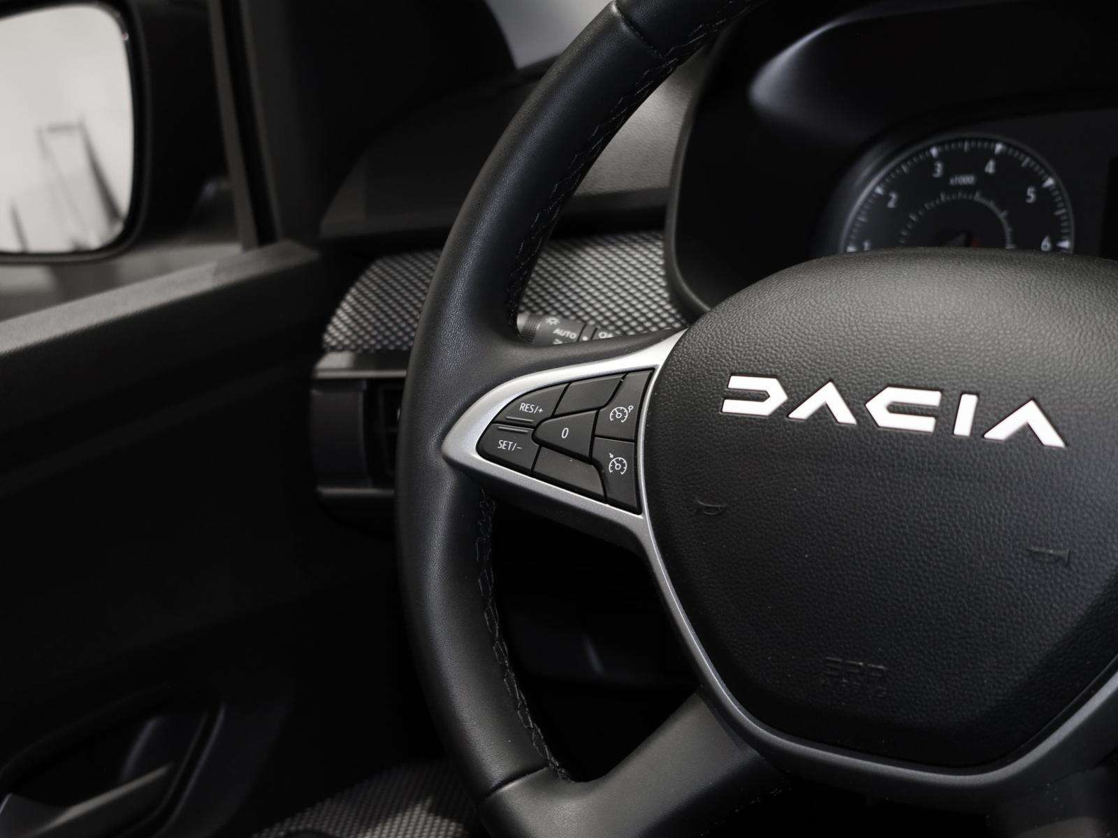 Fahrzeugbild eines Dacia Sandero