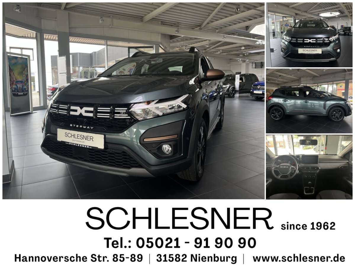 Fahrzeugbild eines Dacia Sandero