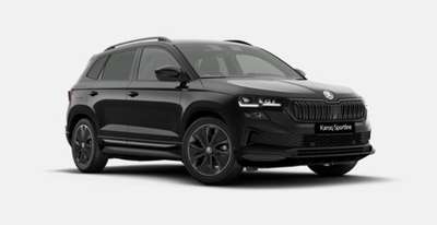 Bild Skoda Karoq