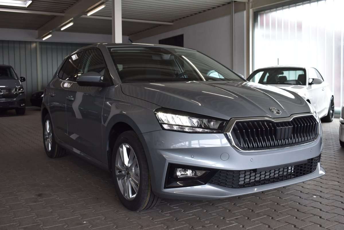 Fahrzeugbild eines Skoda Fabia