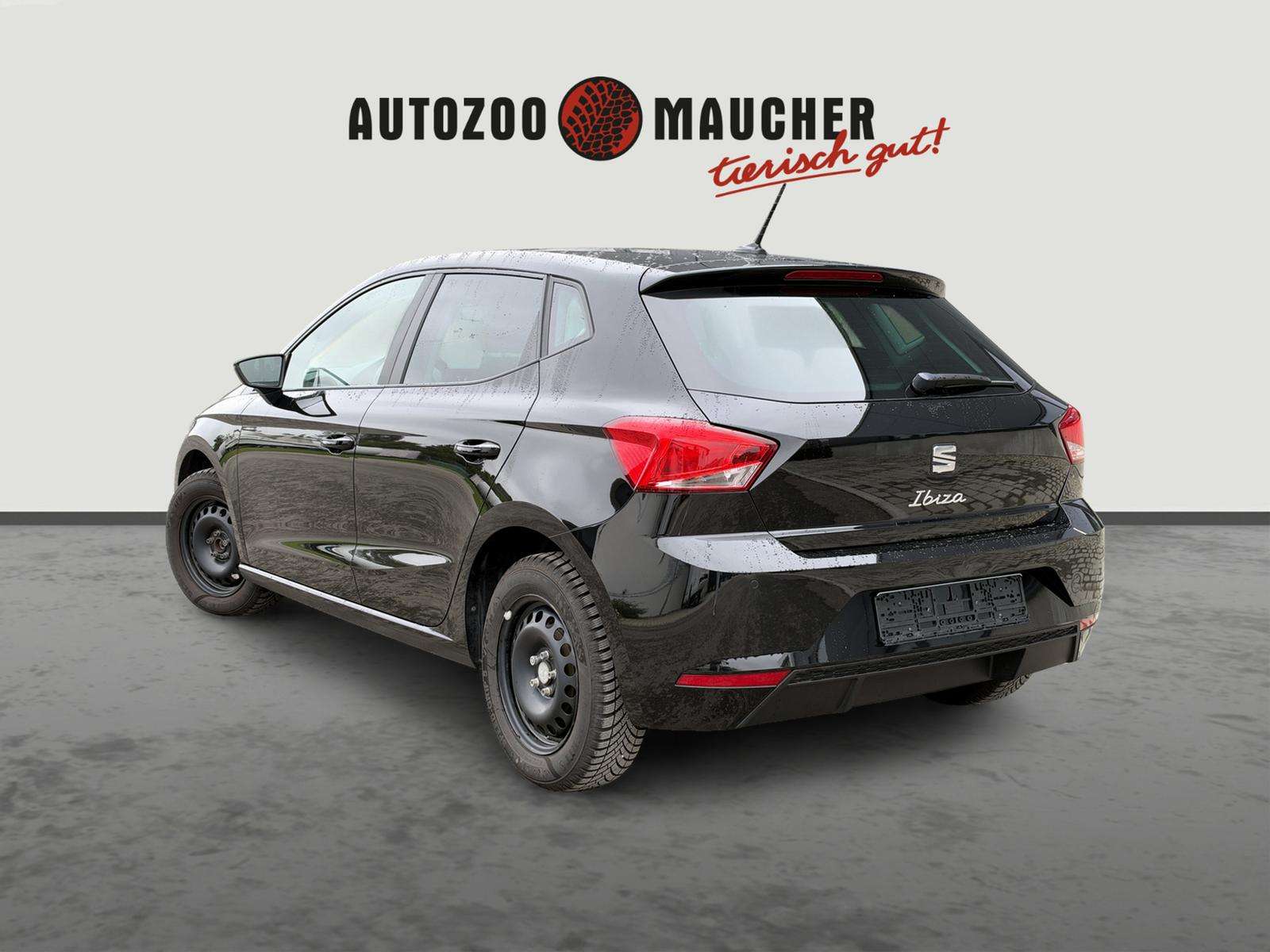 Fahrzeugbild eines SEAT Ibiza