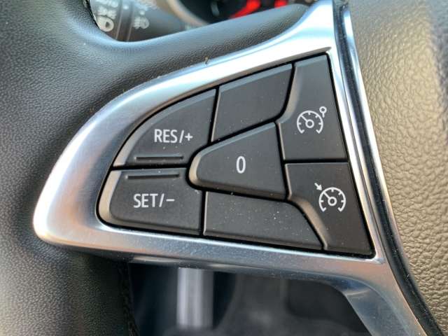 Fahrzeugbild eines Dacia Sandero