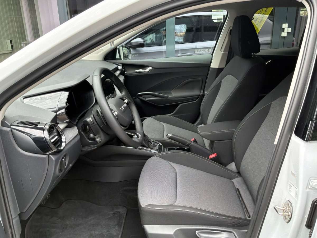 Fahrzeugbild eines Skoda Fabia