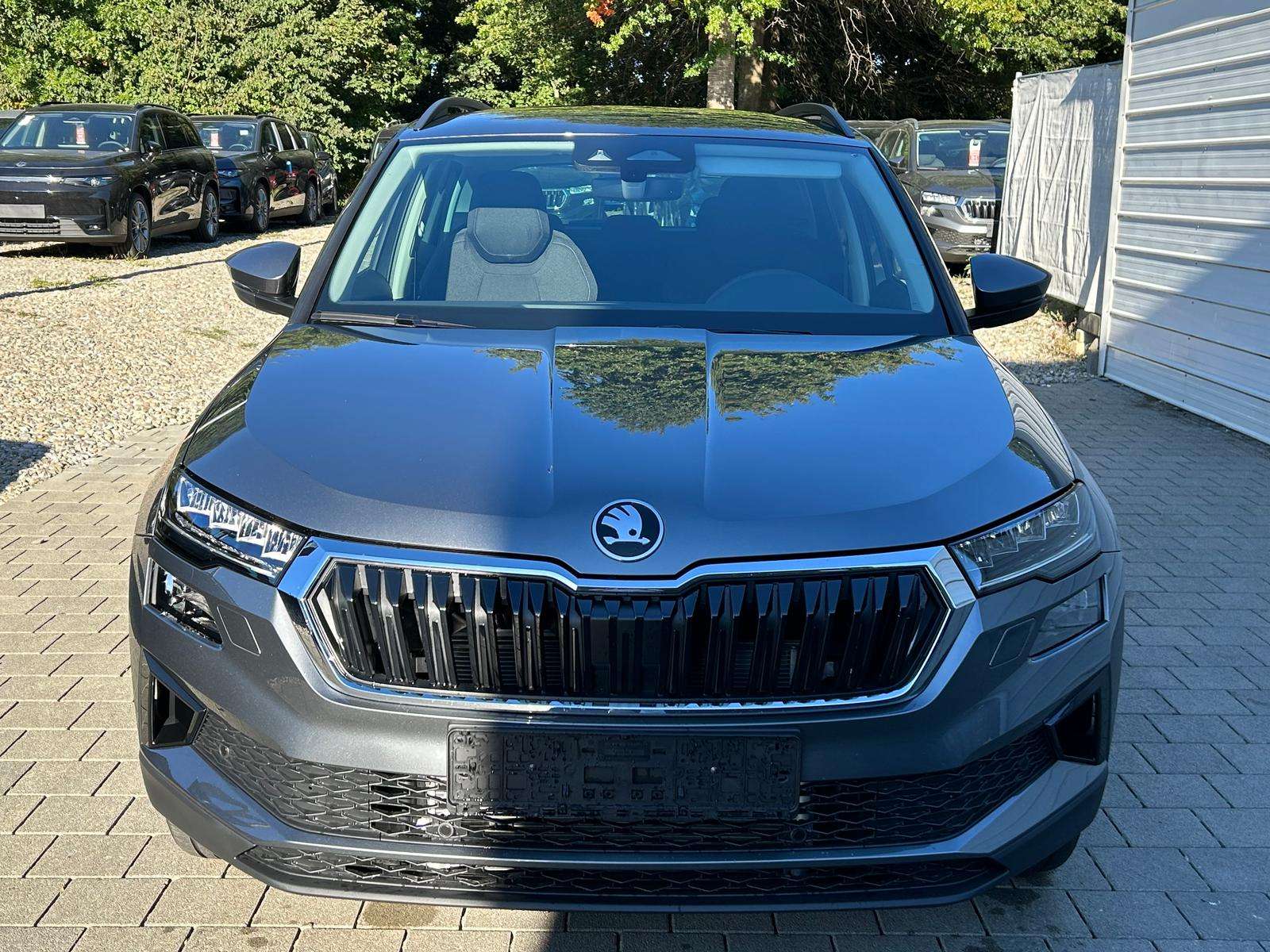 Fahrzeugbild eines Skoda Karoq