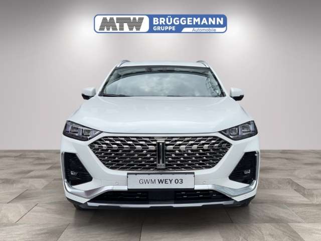 Fahrzeugbild eines GWM Wey 03