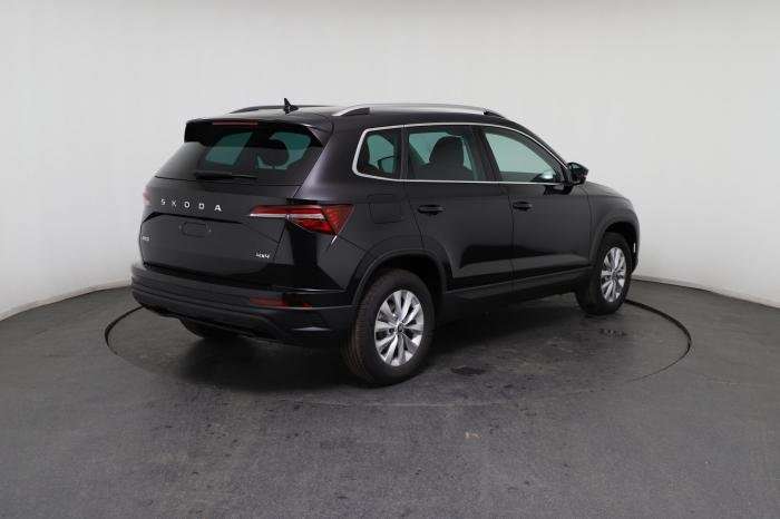 Fahrzeugbild eines Skoda Karoq