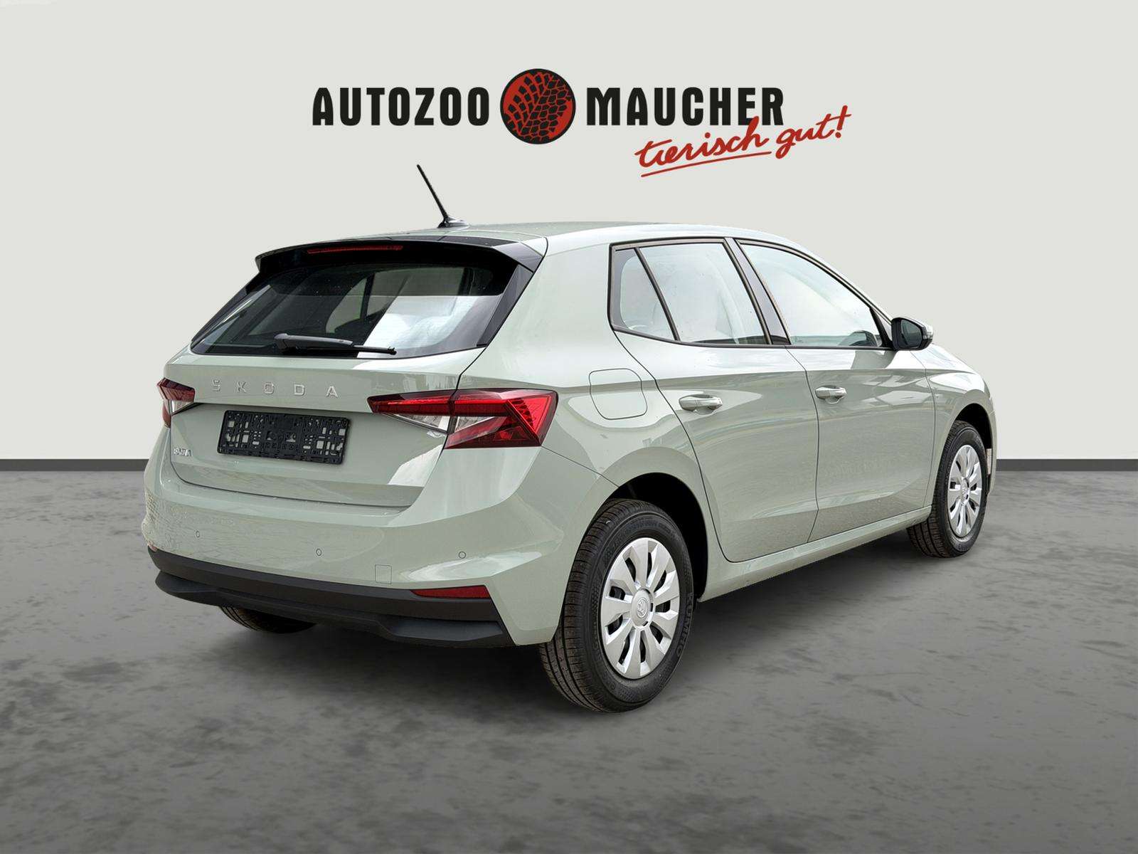 Fahrzeugbild eines Skoda Fabia