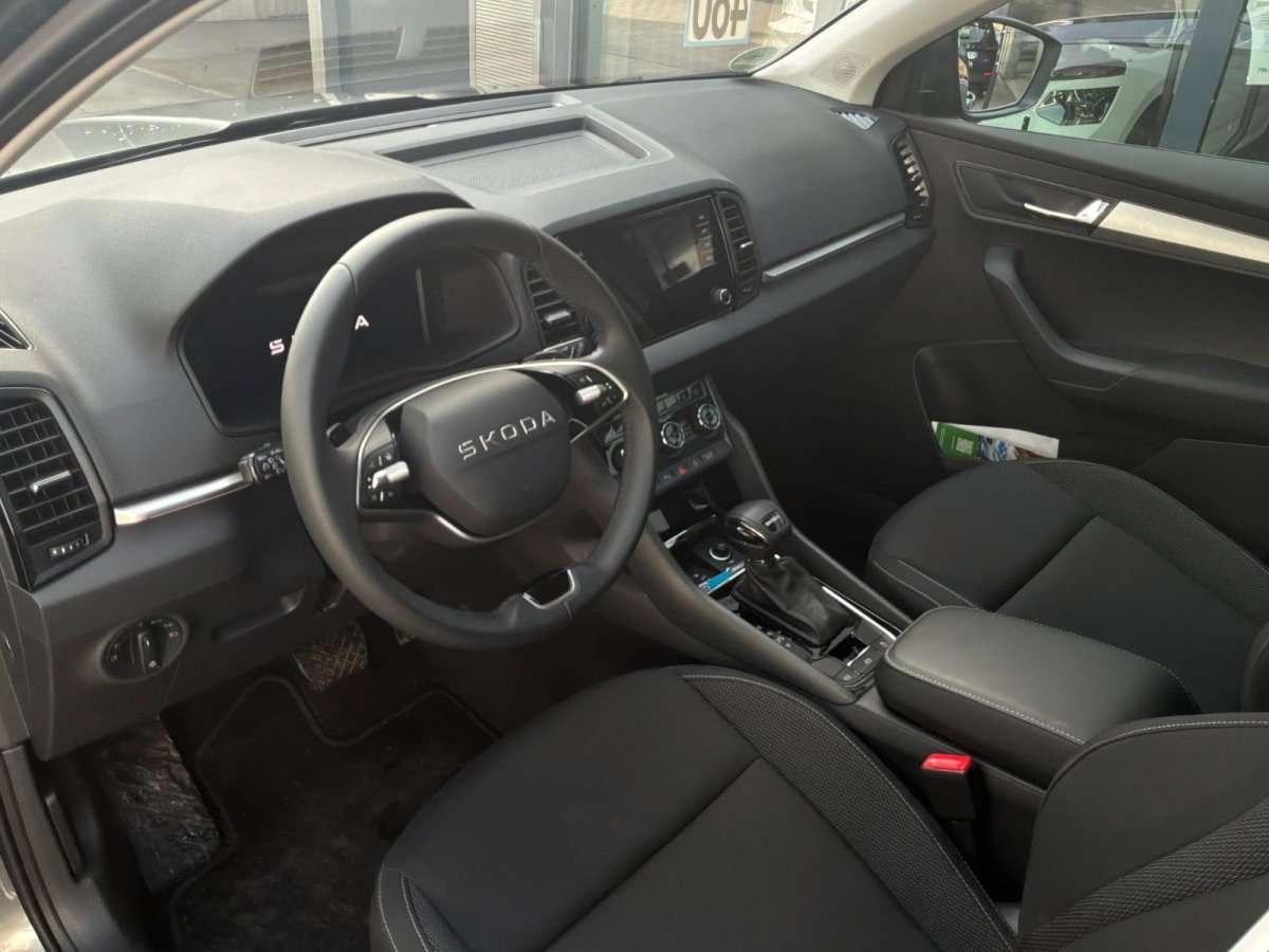 Fahrzeugbild eines Skoda Karoq