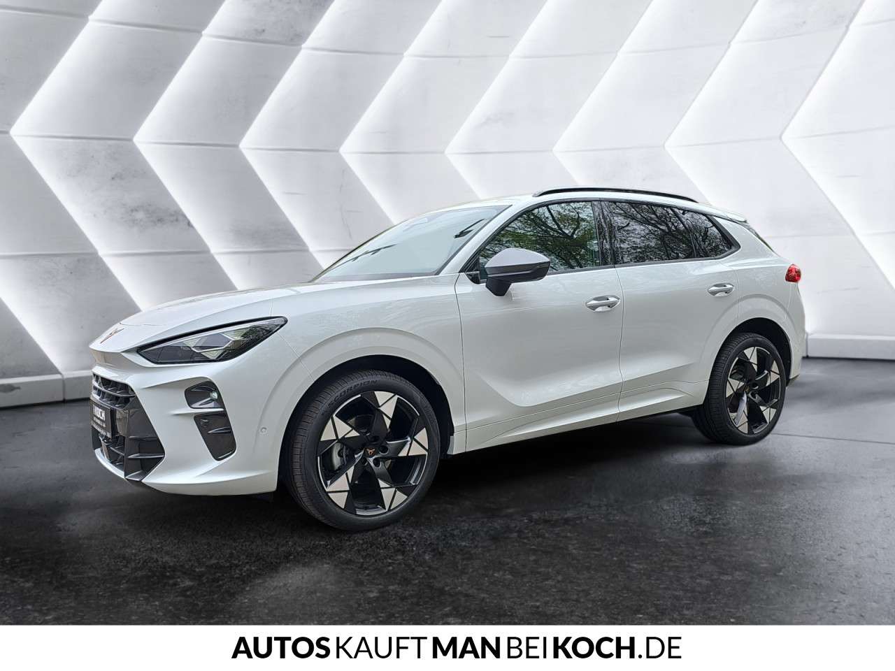 Fahrzeugbild eines CUPRA Terramar