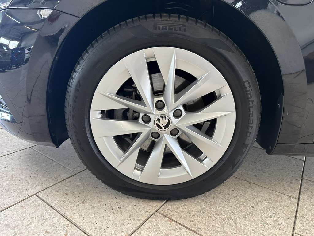 Fahrzeugbild eines Skoda Octavia