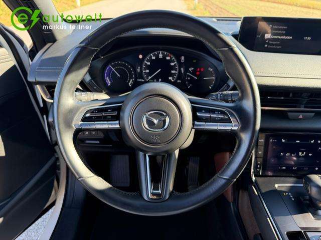 Fahrzeugbild eines Mazda MX-30