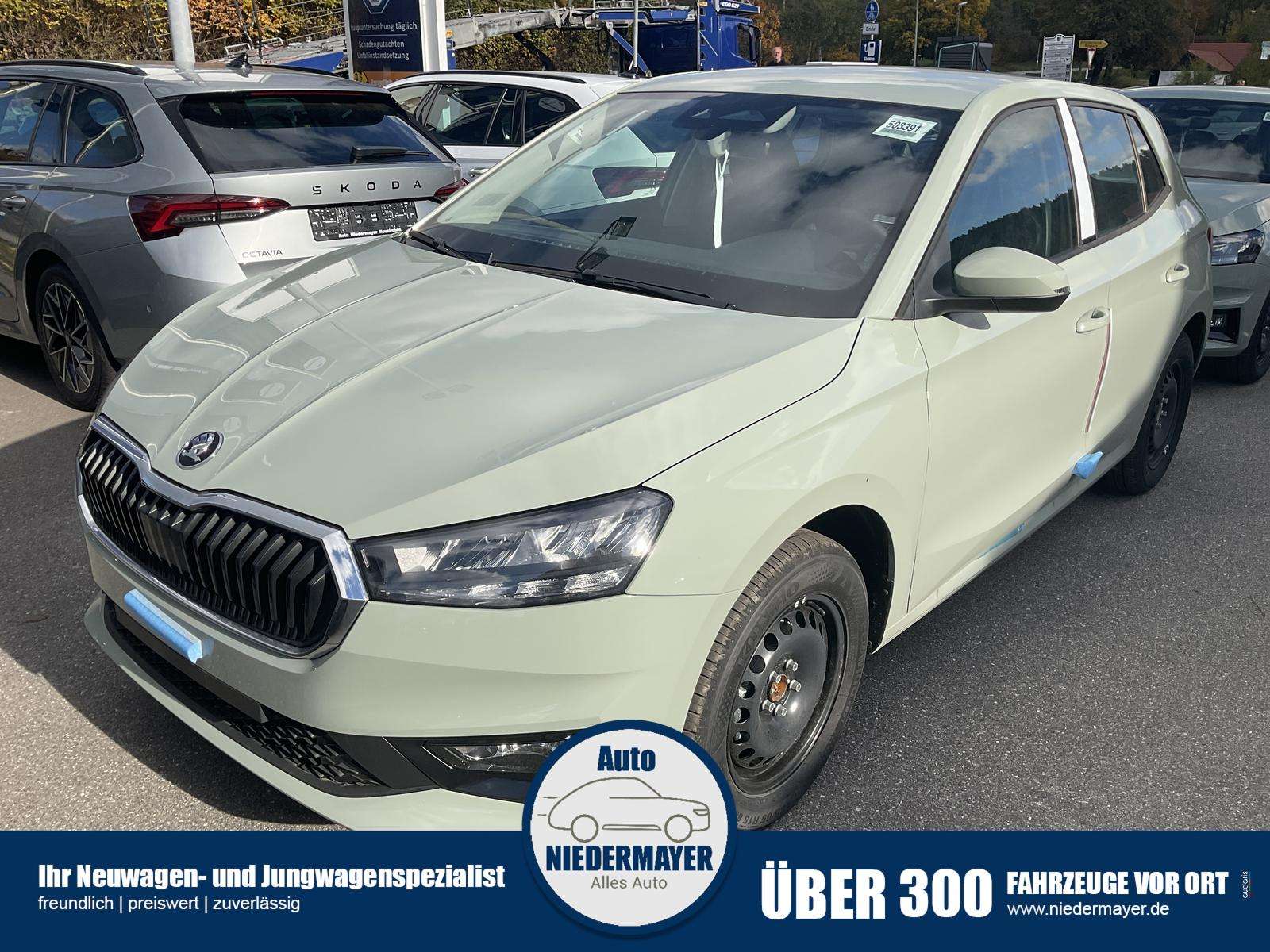 Fahrzeugbild eines Skoda Fabia