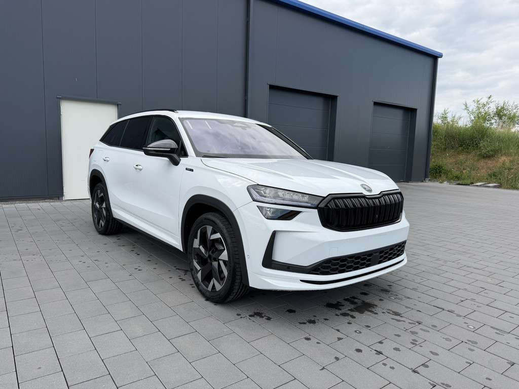 Fahrzeugbild eines Skoda Kodiaq