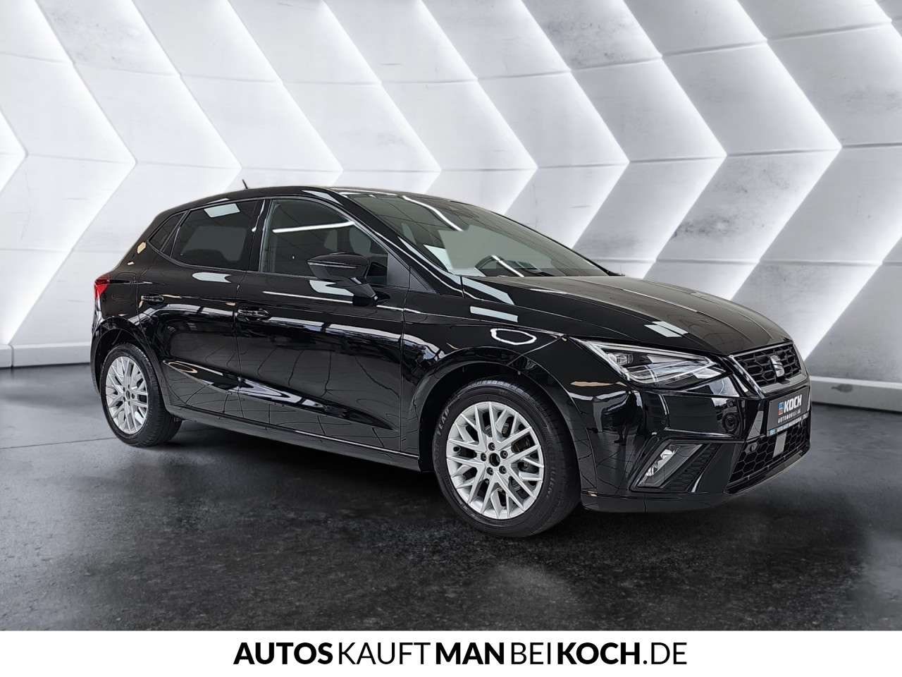 Fahrzeugbild eines SEAT Ibiza