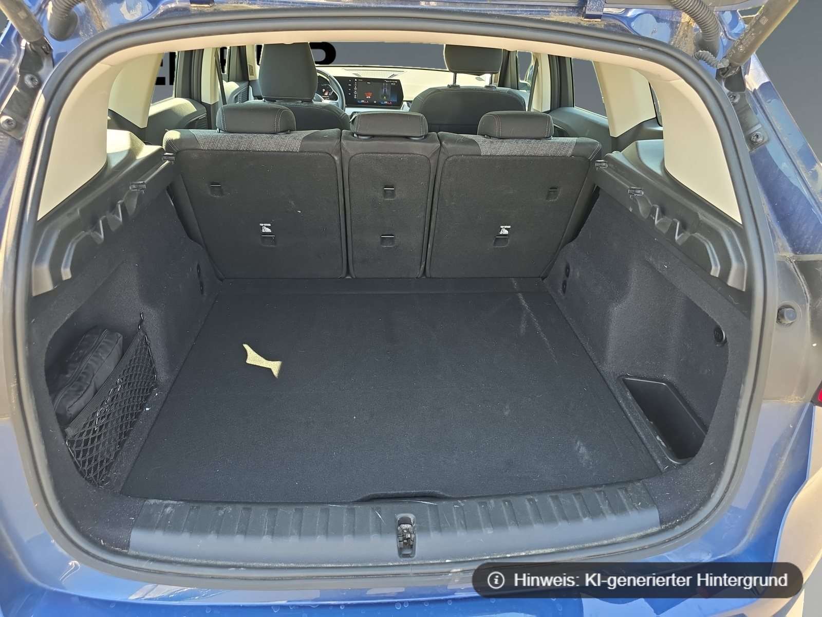 Fahrzeugbild eines BMW X1
