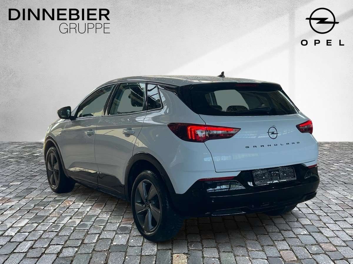 Fahrzeugbild eines Opel Grandland X