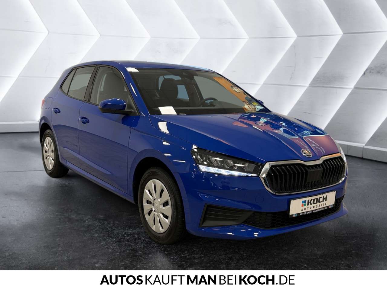 Fahrzeugbild eines Skoda Fabia