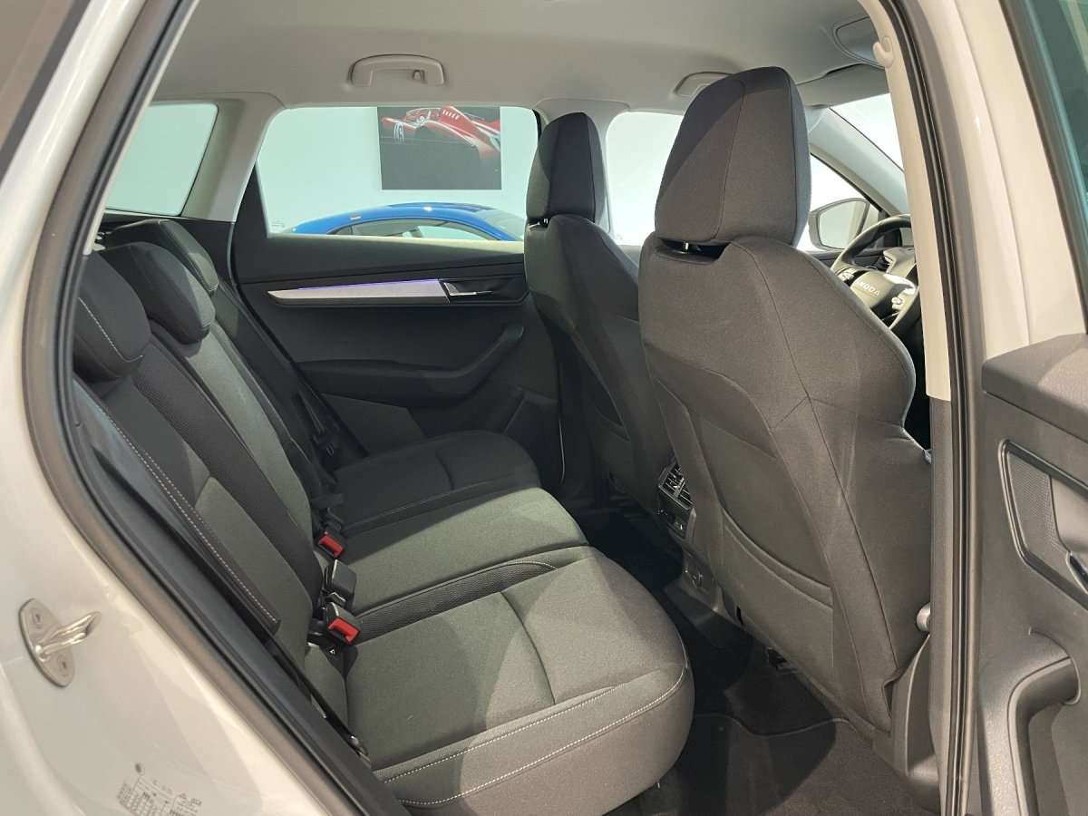 Fahrzeugbild eines Skoda Karoq