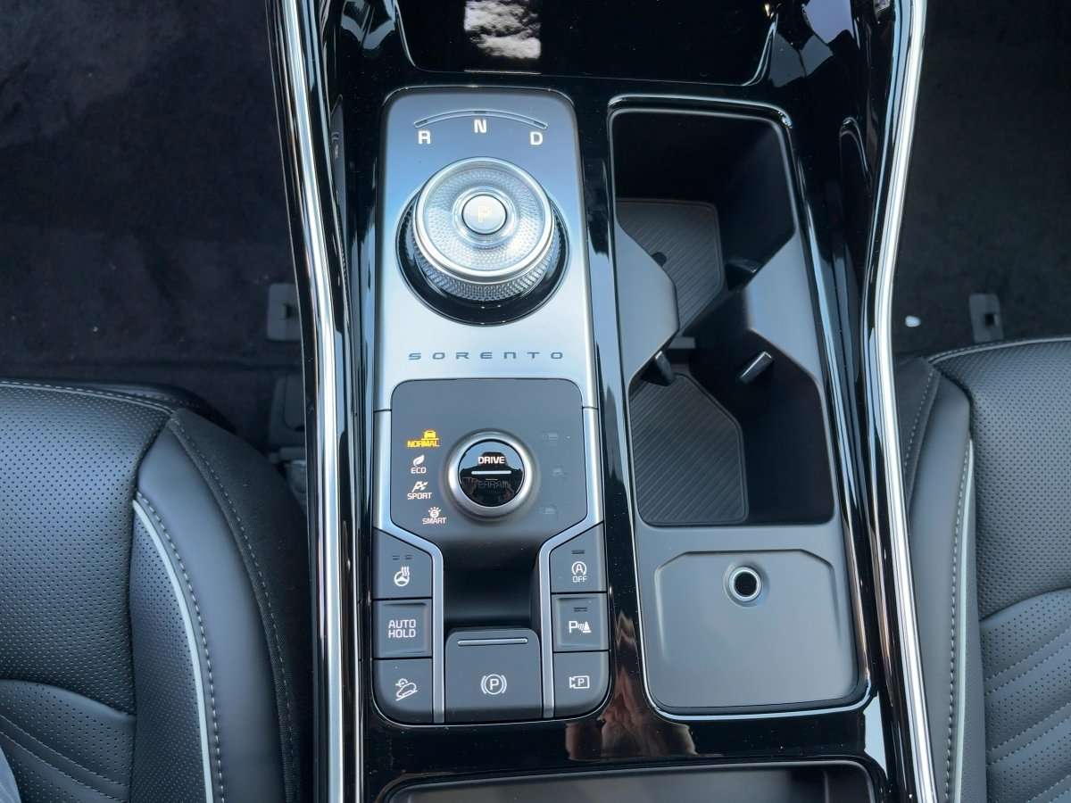 Fahrzeugbild eines Kia Sorento