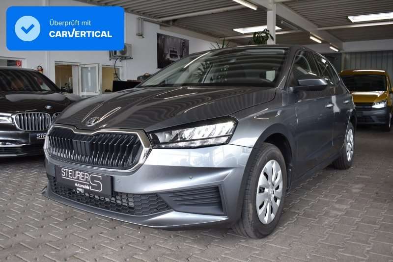 Fahrzeugbild eines Skoda Fabia