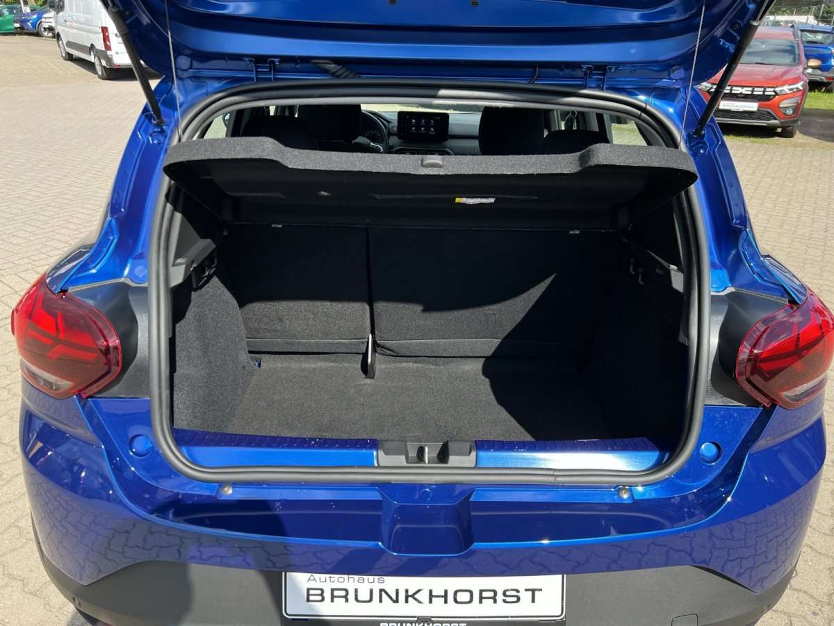 Fahrzeugbild eines Dacia Sandero
