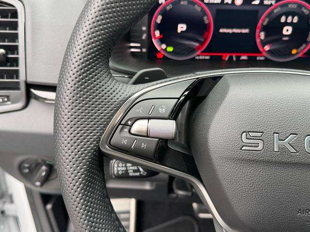 Fahrzeugbild eines Skoda Karoq