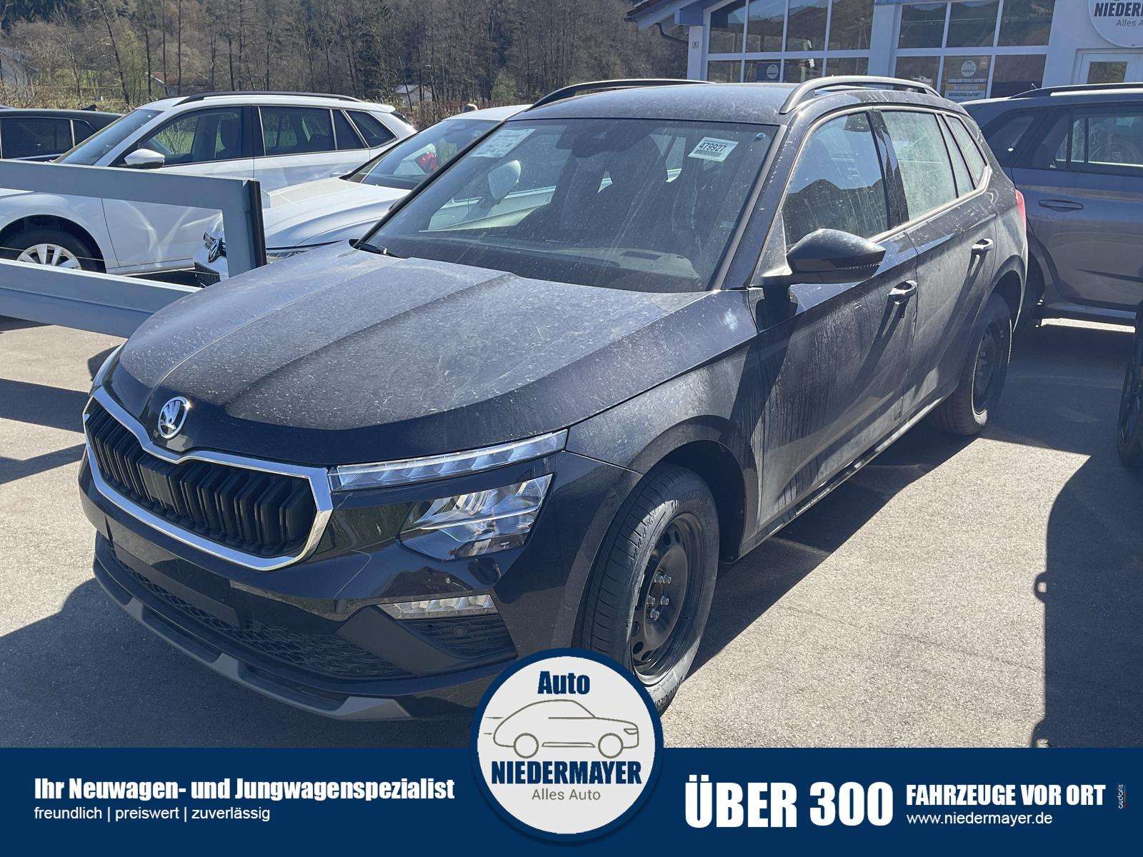 Fahrzeugbild eines Skoda Kamiq