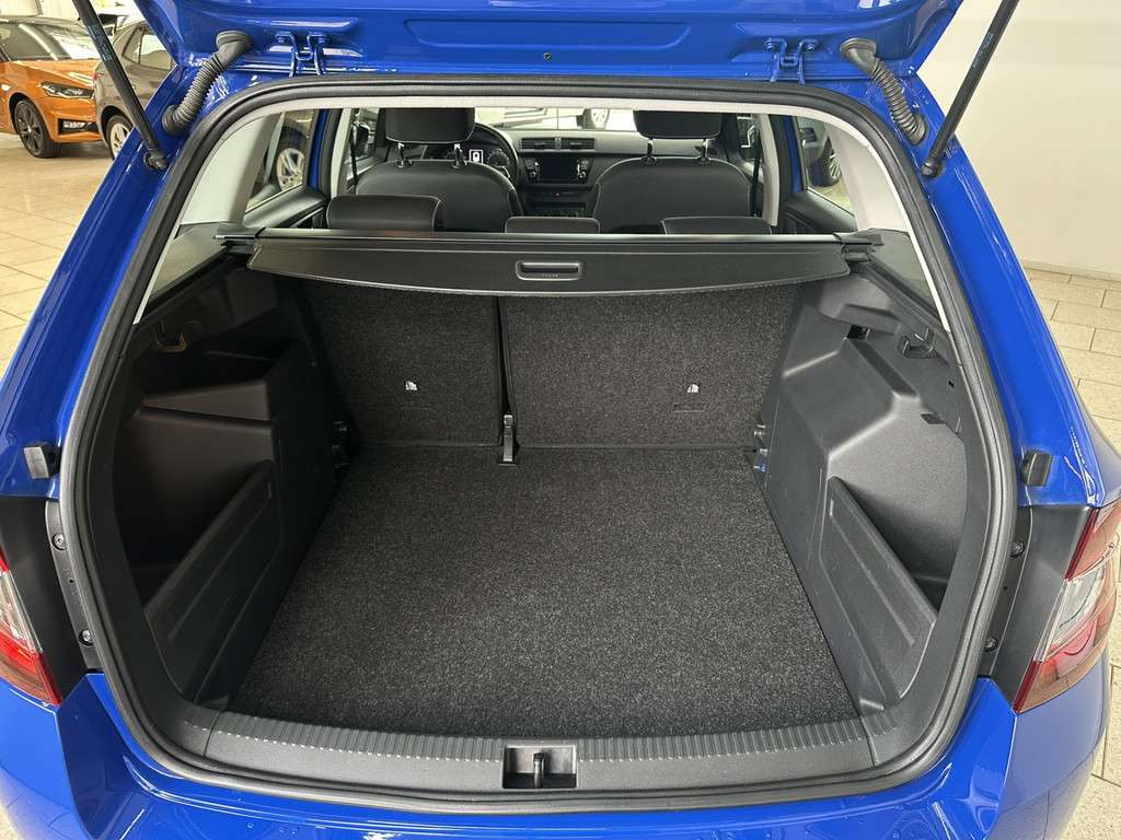 Fahrzeugbild eines Skoda Fabia