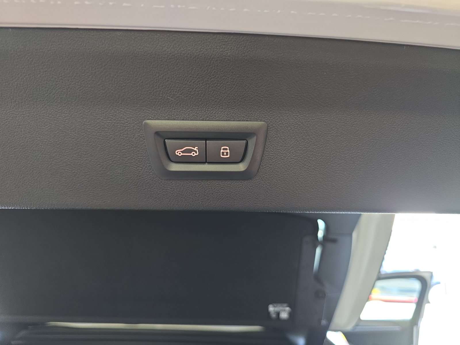 Fahrzeugbild eines BMW X4