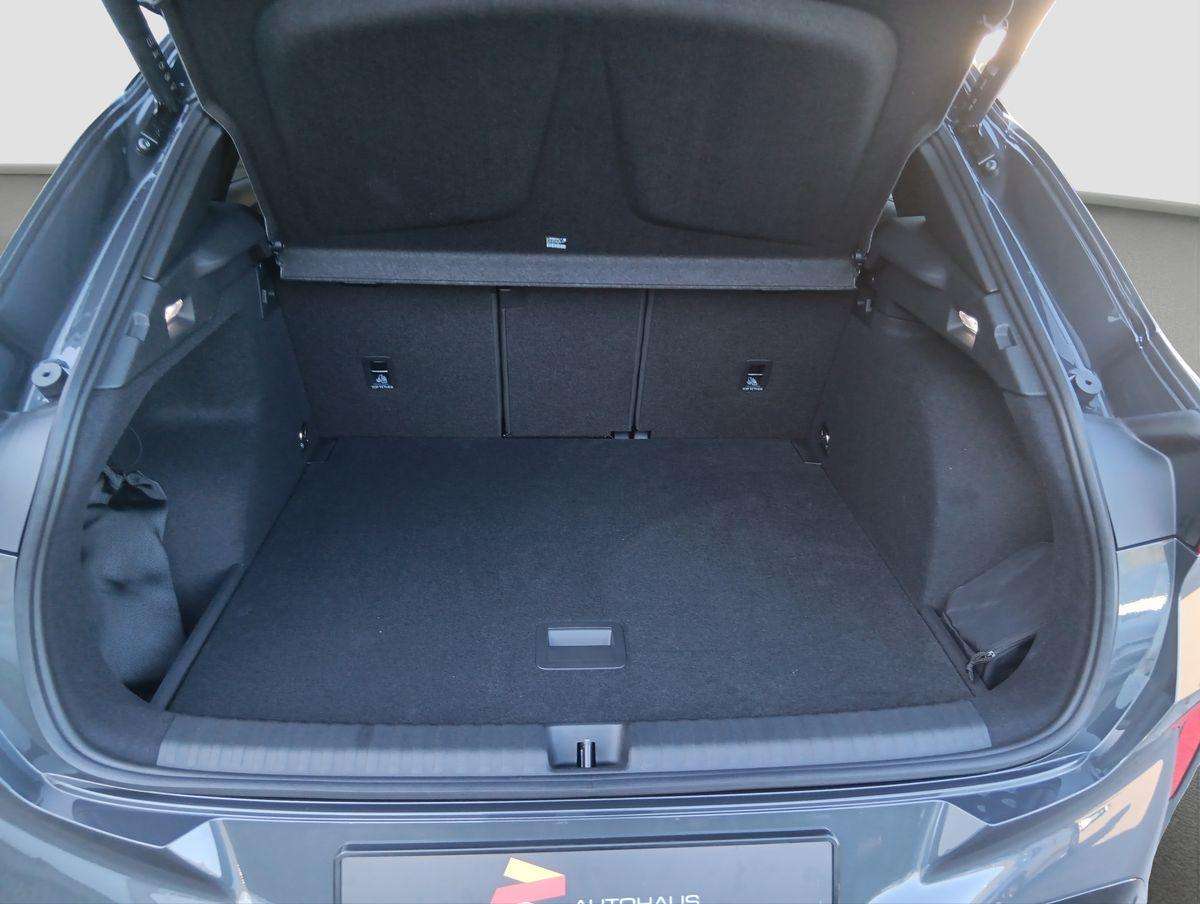 Fahrzeugbild eines CUPRA Terramar